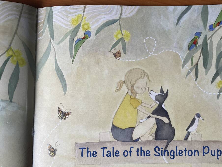 The book is full of delightful illustrations by Belinda Rosenbaum
