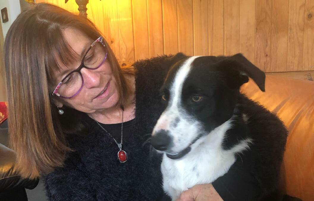 Towamba-based author Helen Lewis and her rescue dog Bella, who stars in new children's book The Tale of the Singleton Pup. Photo: Supplied