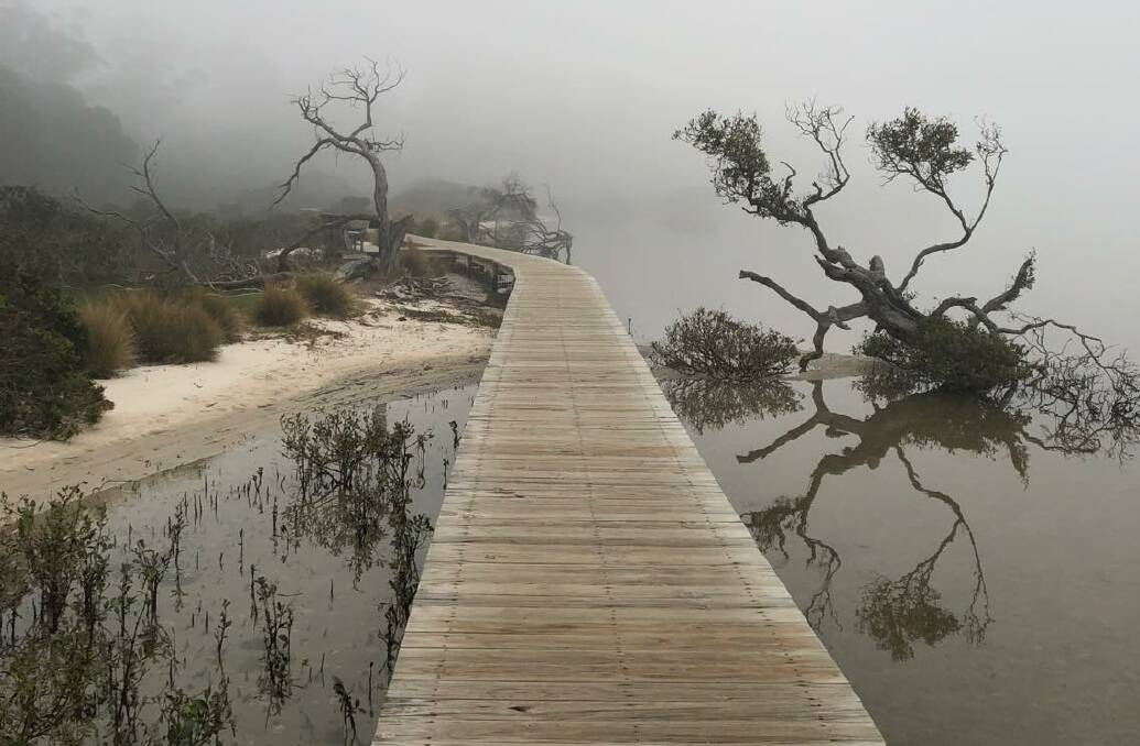  Suzanne Whelan took this amazing shot of Merimbula Boardwalk on a fog-fiilled day last week. Check out other readers' photos at merimbulanewsweekly.com.au