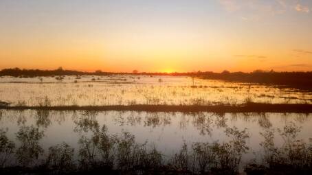 Sunrise over the Thomson River floodplain just west of Longreach on Saturday. The region is in the midst of one of its wettest seasons in years with more set to fall next week. Photo: Sally Gall.