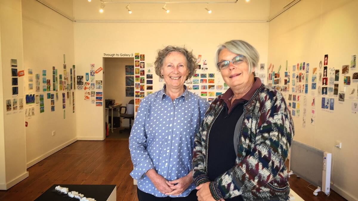 PINT-SIZED CREATIONS: Spiral Gallery chairperson Diana Stewart with Plethora of Postcards joint curator Rachel Annabel. Picture: Alasdair McDonald