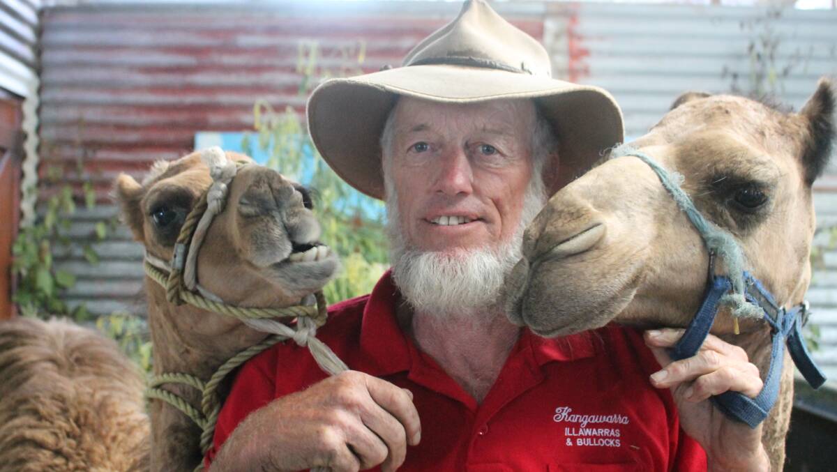 Geoff Cochrane captured and tamed his six-month-old and 18-month-old camels in the Simpson Desert.
