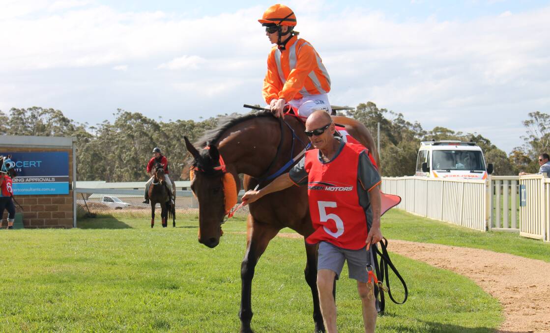 Hot to trot: Jockey Carly Frater-Hill takes Orange Time for a lap of the mounting yard before racing to victory in the Bombala Times Benchmark 61 on Thursday. Photo: Alana Beitz