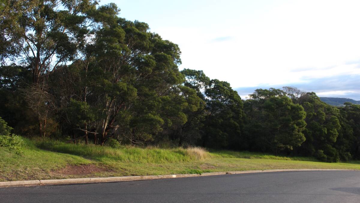 The land next on Lakewood Drive, Merimbula where the development is proposed.