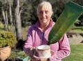 "Join the Merimbula Water Dragons for their Biggest Morning Tea with the option of a paddle if you would like to try it out," says president Gill McCallum.