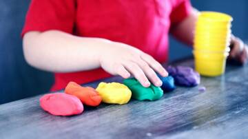 Bega Valley Shire Council said there was unmet demand for childcare services in the shire.