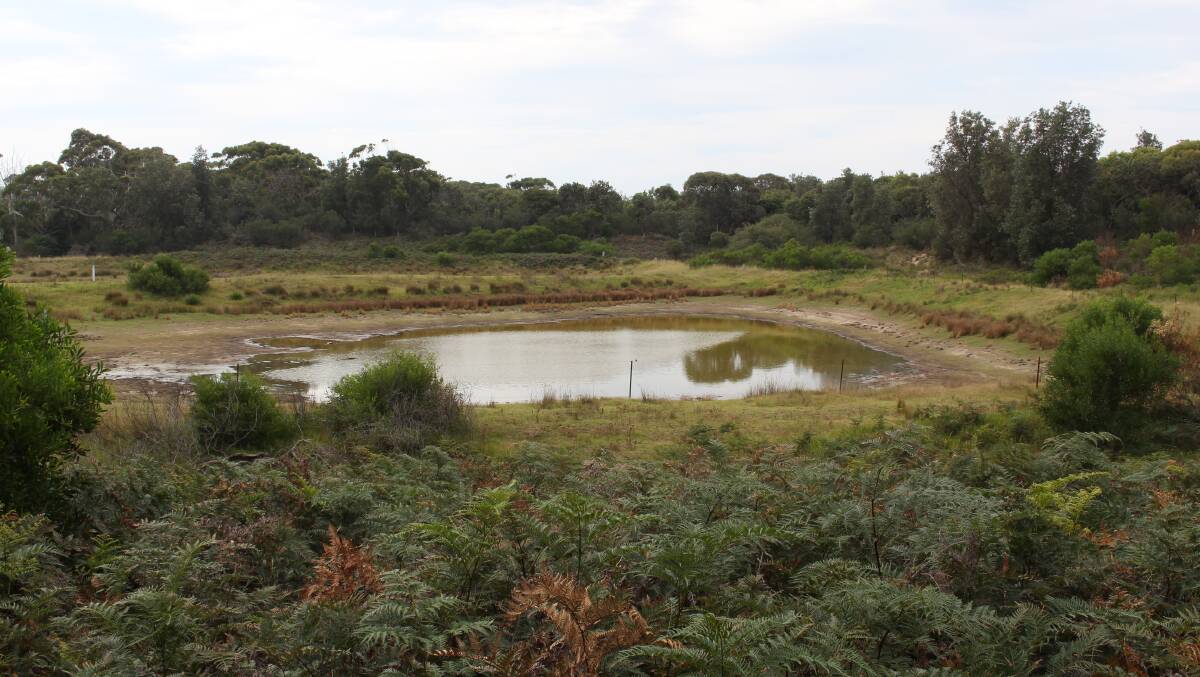 Dunal ex-filtration ponds at Merimbula.