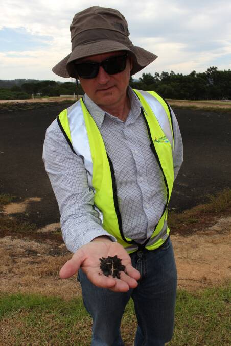 Water and sewer manager Jim Collins with some well matured biosolids at the Merimbula sewage treatment plant.