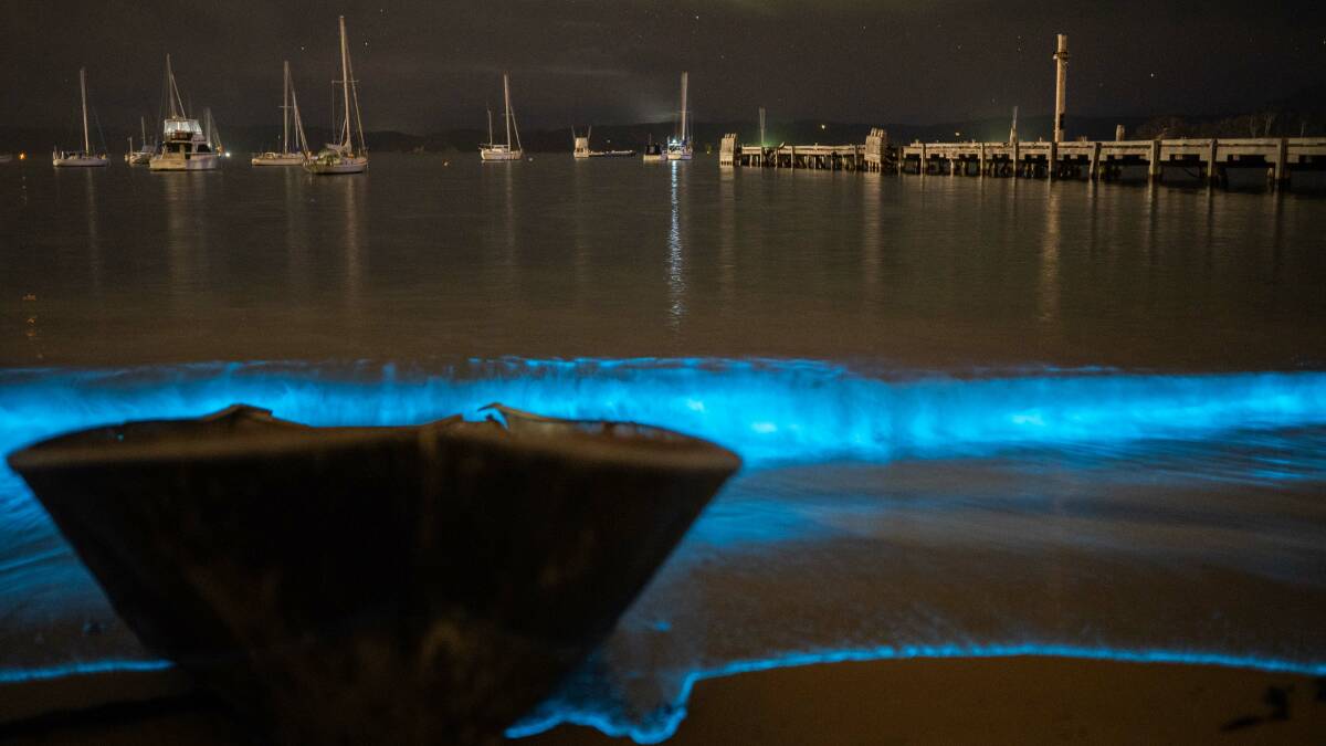 Peter Whiter enjoys capturing the natural glow as the shoreline waves activate the bioluminescent algae in Eden. Photo: Peter Whiter of DoubleTake Photographics 