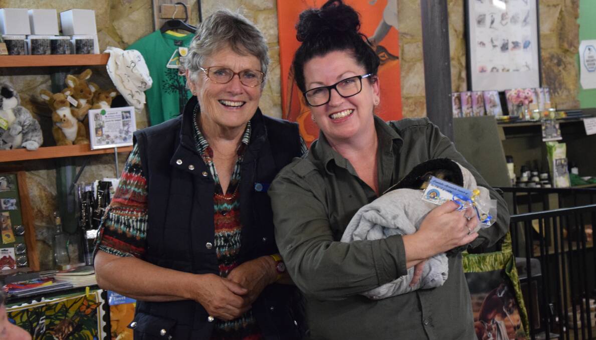 Pambula - Merimbula CWA Agriculture and Environment Officer, Joy Dawson, presents a thank you gift to Potoroo Palace staff member Shannon, who is cradling baby Quince.
