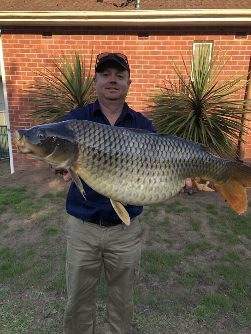 Biosecurity officer Dan Biddulph with the 9kg carp found in Bega waters and carrying 1 million eggs.