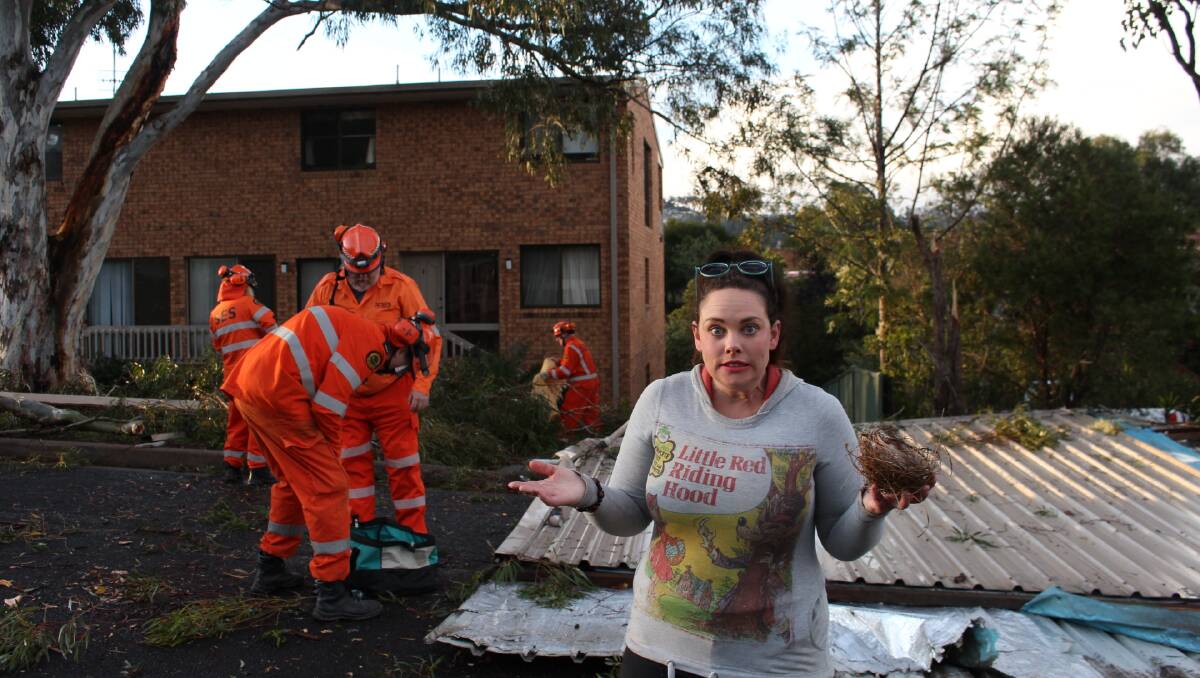 Crazy huh? Kyeamba Street resident Kirsty Den Hertog couldn't believe her eyes. Kirsty found the bird's nest scattered with all the tree debris across the road.