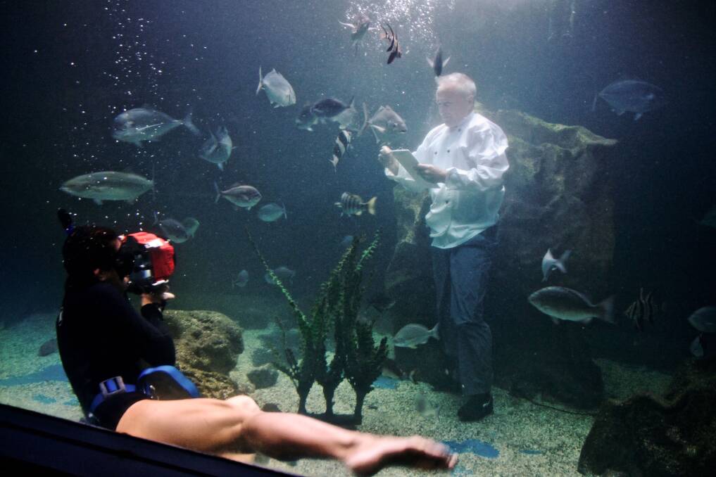 Looking for lunch: Photographer Louise Kelly with chef Anthony Daly in the aquarium at Merimbula Wharf. Photo Sarah Chenhall.