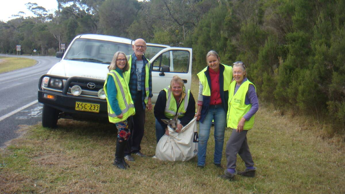 Roo rescue: Volunteers Linda Krulz, Boris Krulz, Janine Green with the kangaroo, Tabitha Jones and Adriana Turk.