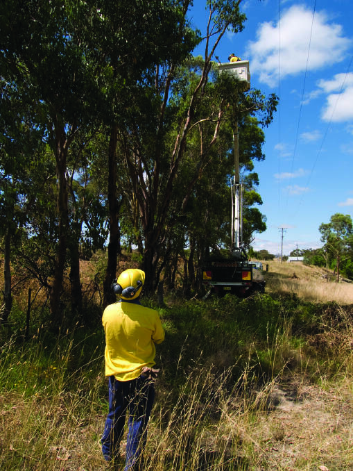 Vegetation management is just one of the issues Essential Energy would like our views on.