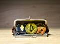 A crypto wallet stores the cryptographic information to access and manage one's assets. Picture Shutterstock