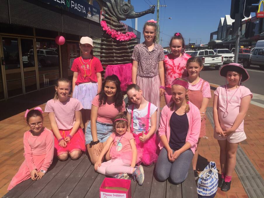Sapphire Coast Dance troupe gave a flash mob performance blaming it on the boogie.