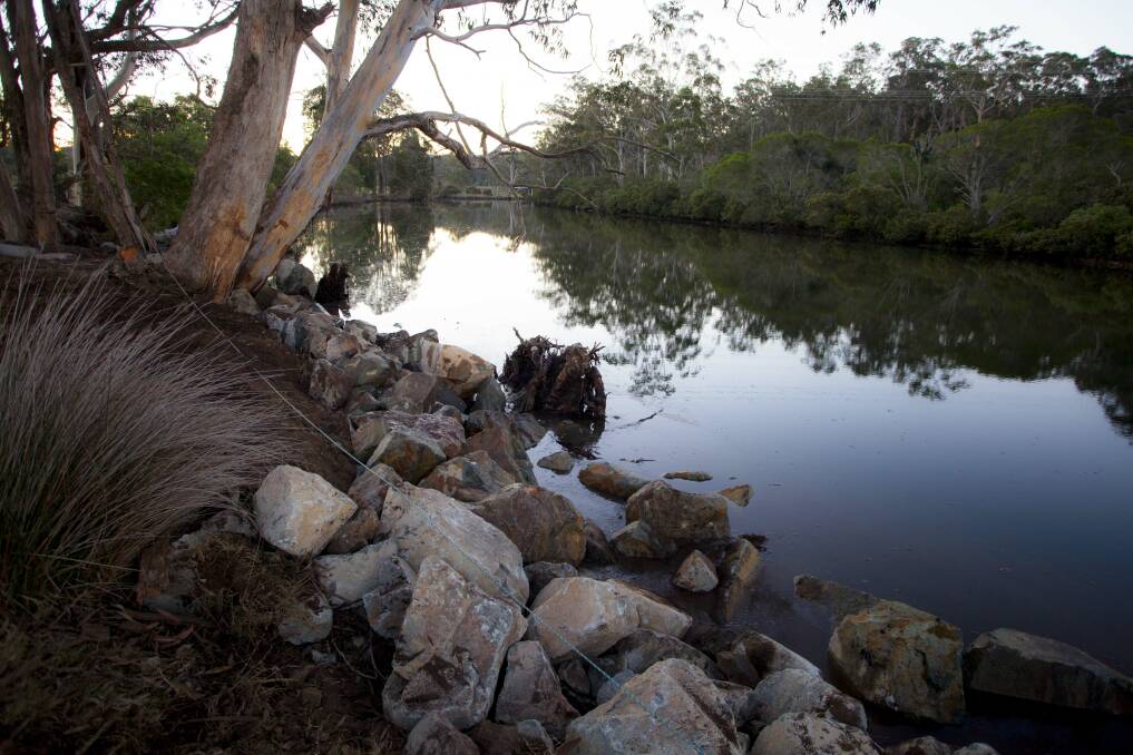 Part of the rock wall and rootball placed in the water at Millingandi Creek