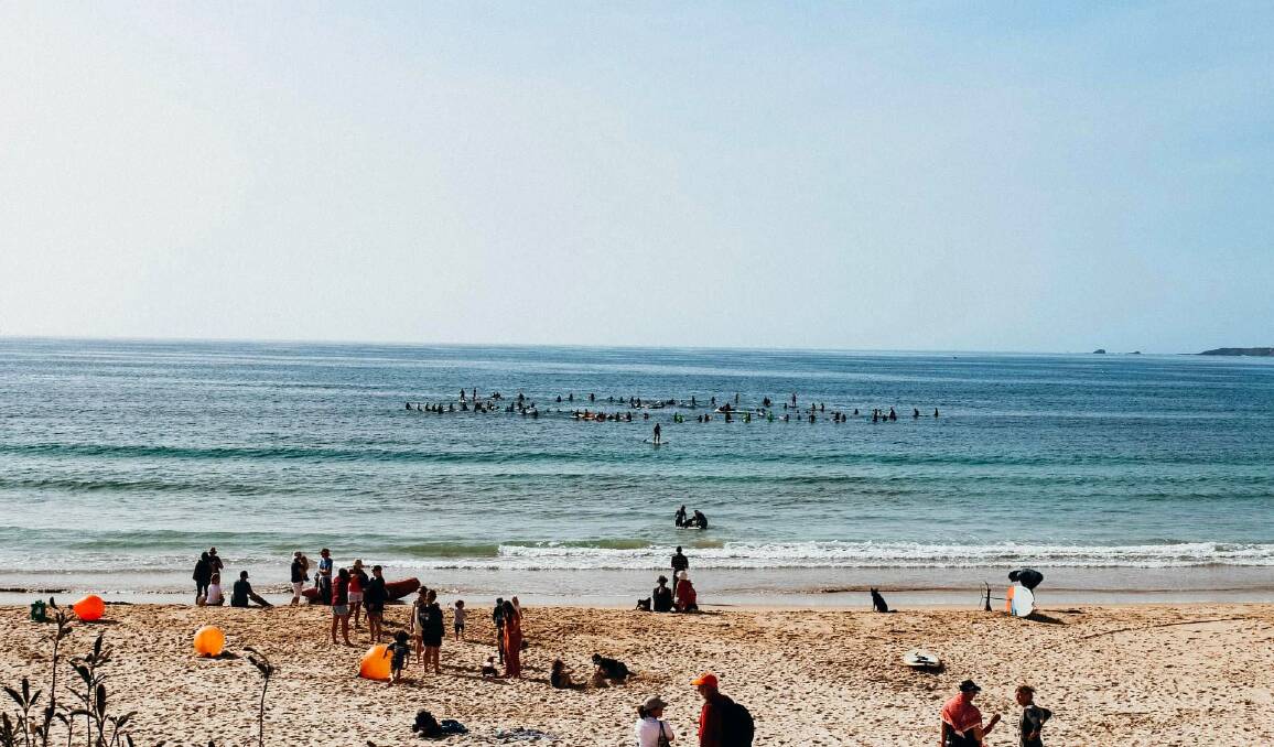 View of the paddle out from beach Merimbula. Photo: Cassandra Michelin
