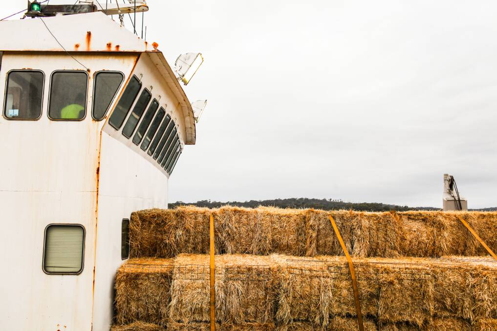 The first truck to be loaded at the Eden Navy Wharf. Cargo Boat " The Statesman' carried 565 bales of hay from Tasmania and will be delivered to NSW Drought affected areas. Photos: Rachel Mounsey