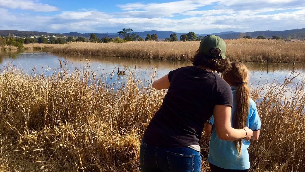 An all-abilities walking track through Panboola Wetlands is one of the proposed projects. 