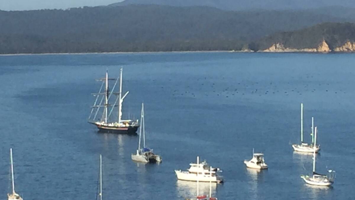 The Young Endeavour captured by Eden local Tricia Lamacraft. 