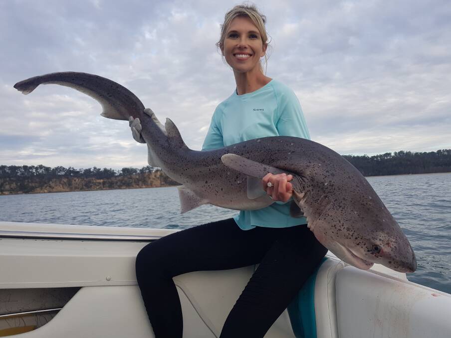 Emma Badullovich caught this great seven gilled shark while fishing in Towfold Bay. The fish was caught on10kg tackle, in 6 meters of water on a filet of sergeant baker.