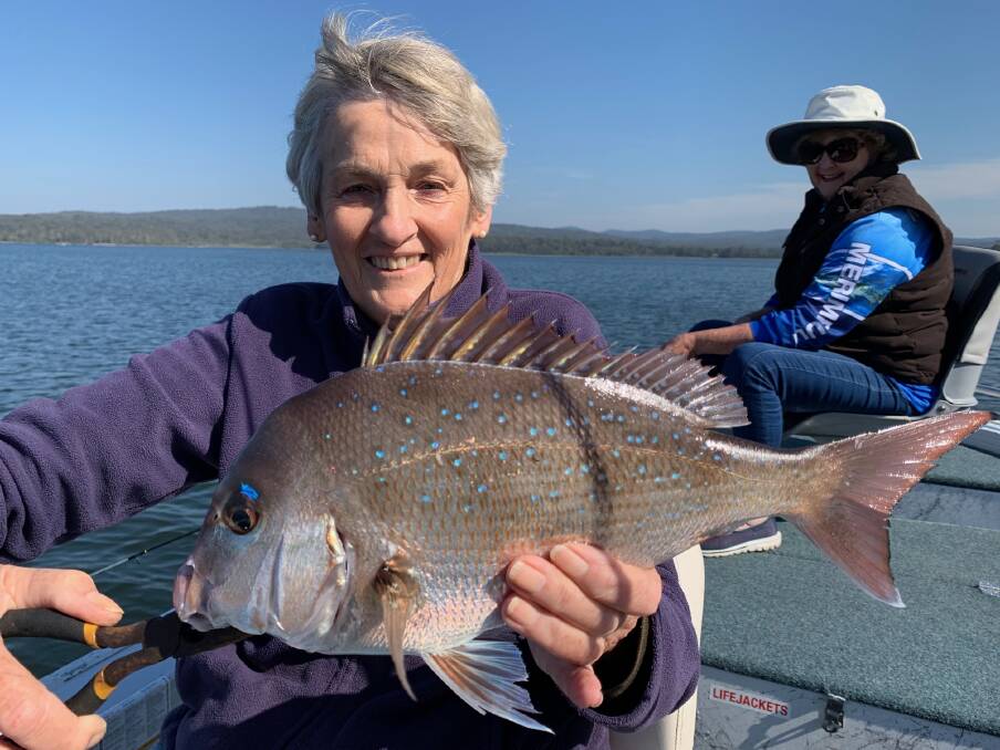 Lady of the lake: Jenny Robbins of Pambula showing the lovely snapper taken at Wallagoot Lake. The annual Merimbula Big Game & Lakes Angling Club's Snapper Classic will be run over the weekend of May 25-26.