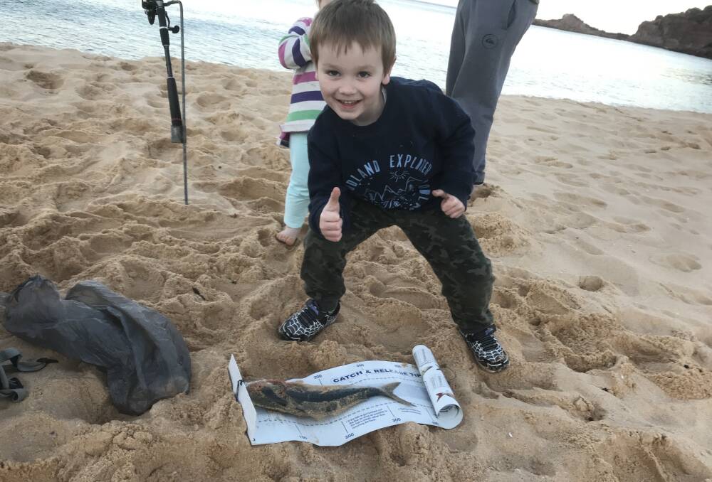 Nice catch: Four-and-a-half year old Lachlan Wilkins measures his first ever Salmon taken at Tura Beach on pilchards during a visit. 