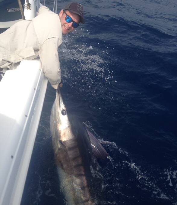 Marlin mania: Brad Foster gets ready to release a 90kg striped marlin from Spooky captained by Peter Haar, out at the shelf.