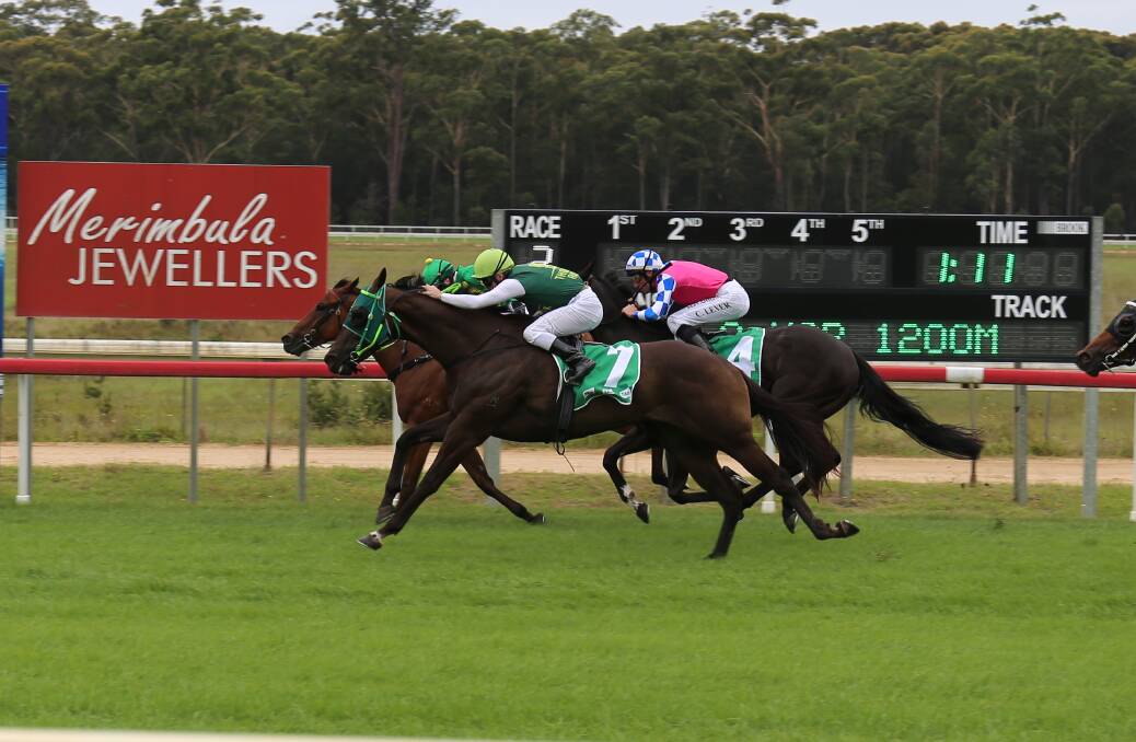 It was neck and neck between Club Legend and Bouris (7) during race two of the Bega Cup Carnival on Sunday. 