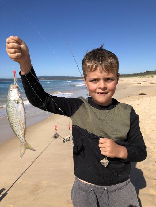 
Seven-year-old Kade Jenkins of Merimbula shows his skill landing a juvenile Australian salmon at North Tura beach.