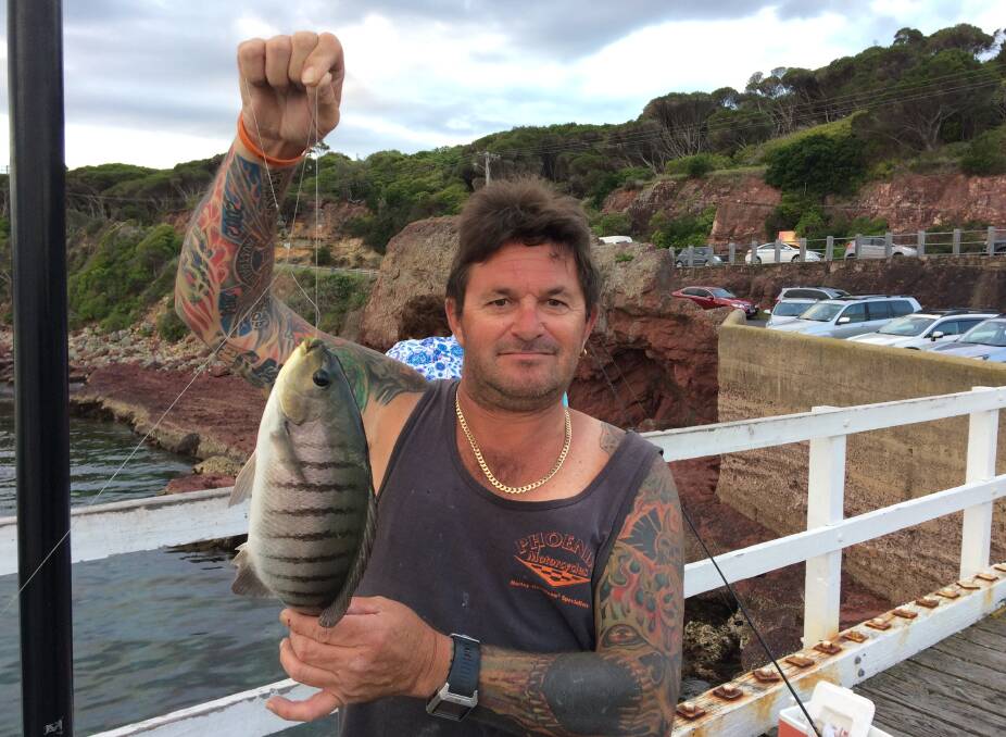 Platform delivers: Paul Brenchley of Tura Beach shows his first ever luderick, caught on artificial weed at the Merimbula Fishing Platform. 