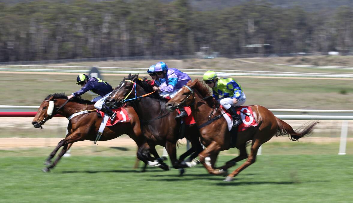 There will be a seven-race TAB card at the Sapphire Coast Turf Club this Sunday for the Jazz Festival weekend. 
