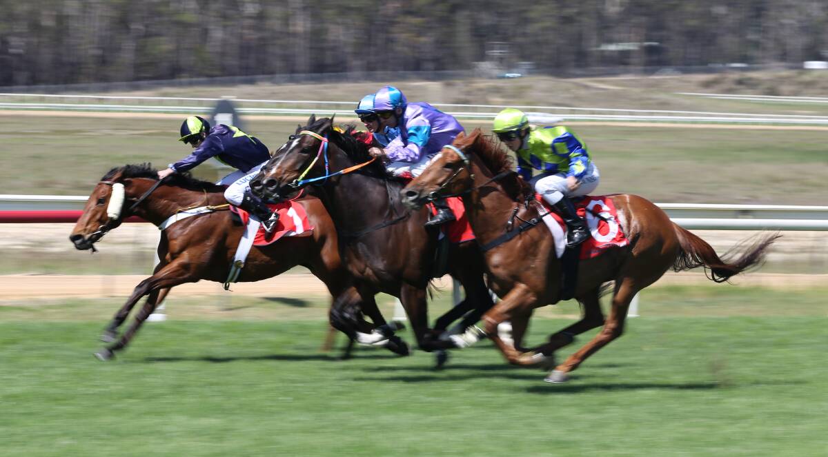 Switch up: The Sapphire Coast Turf Club won't hold Boxing Day races, but will gain a TAB Pambula Cup meet in February. 