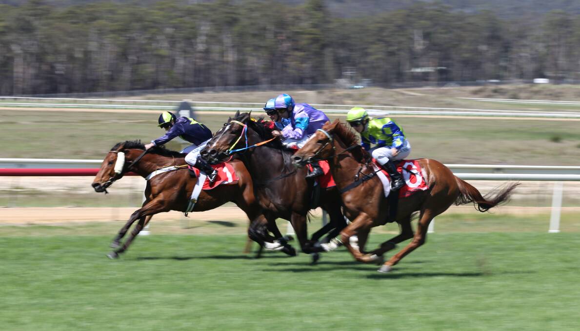 Close packs: The Sapphire Coast Turf Club enjoyed close racing for the Jazz Festival Cup meet on Sunday. 