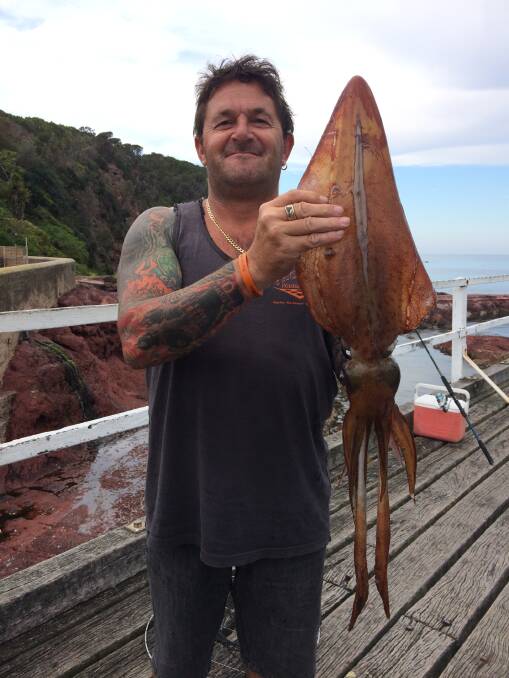 Calamari anyone?: Paul Brenchley of Tura Beach shows a monster calamari squid landed at the Merimbula Fishing Platform.