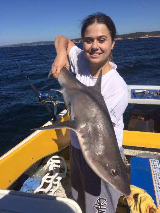 Behlana Robinson of Waurn Ponds shows her 6.9 Kg Gummy Shark caught off Cowdroys and the winning Gummy in the Tathra Amateur Fishing Clubs Easter Fishing Competition.