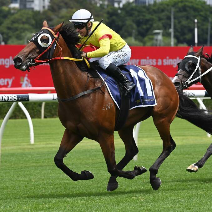 On top: Room Number out of the Barbara Joseph stables ridden to victory at Randwick by Quayde Keogh on the weekend. Picture: supplied. 