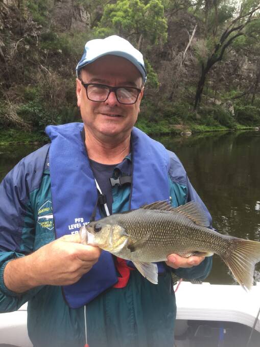Club member Dale Hayton of Merimbula shows a lovely bass taken and released at Brogo Dam using a small surface lure.