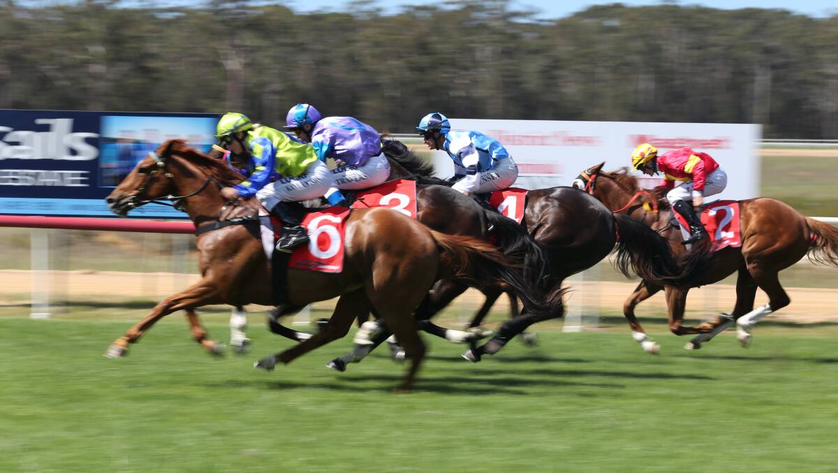 Richest yet: A field dash for the line at the Sapphire Coast Turf Club where trainers will travel to compete for $430,000 of prize money at the Bega Cup Carnival. 