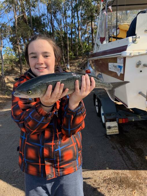 Angus Ryan, 10, shows off his 50cm Australian salmon caught in Pambula Lake that he entered in the MBGLAC Tackleworld Merimbula fishing comp.