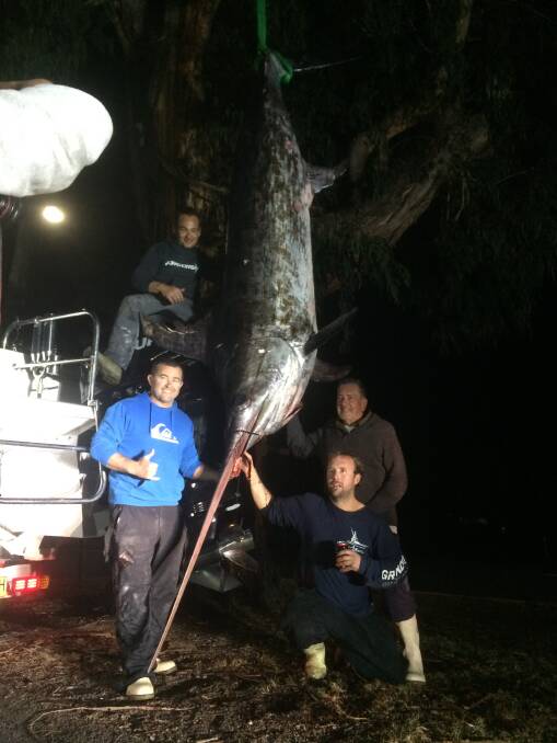 Haul: Ulladullla captain George Lirantzis, Mitch Ryan, and crew Ken and Pete Rushton with their record-breaking swordfish off Mallacoota. PIcture: Luke Wuiske.