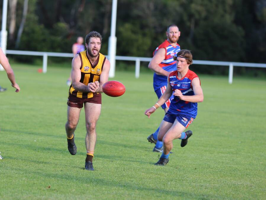 The Pambula Panthers got the better of the Merimbula Diggers in a local derby on Saturday at Berrambool. 