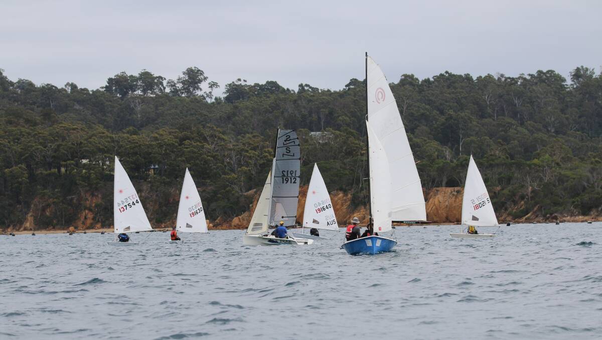 World class: Members of the Twofold Bay Yacht Club head out off Eden for a sail recently with learning to sail sessions returning soon. 
