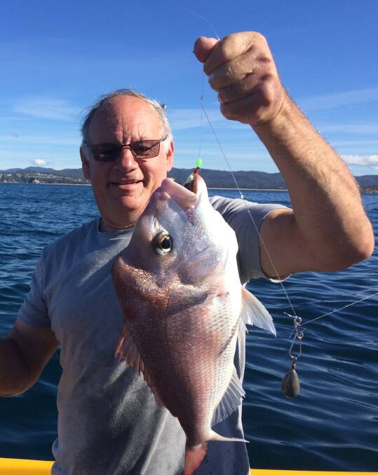 snap it up: John McKay of McKays Oysters shows a lovely local snapper he caught off Eden over the weekend. 