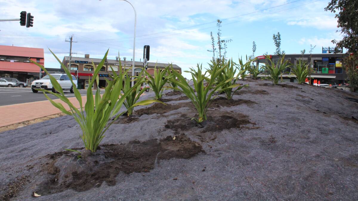 New plants at the revamped Merimbula intersection