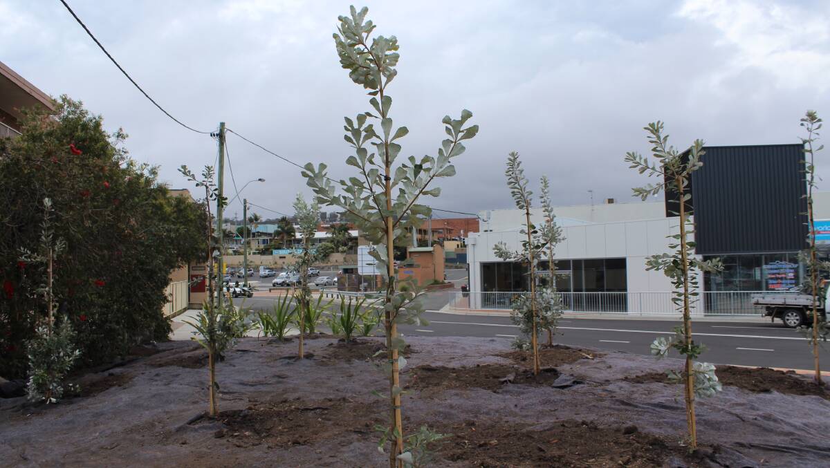 New plants at the revamped Merimbula intersection