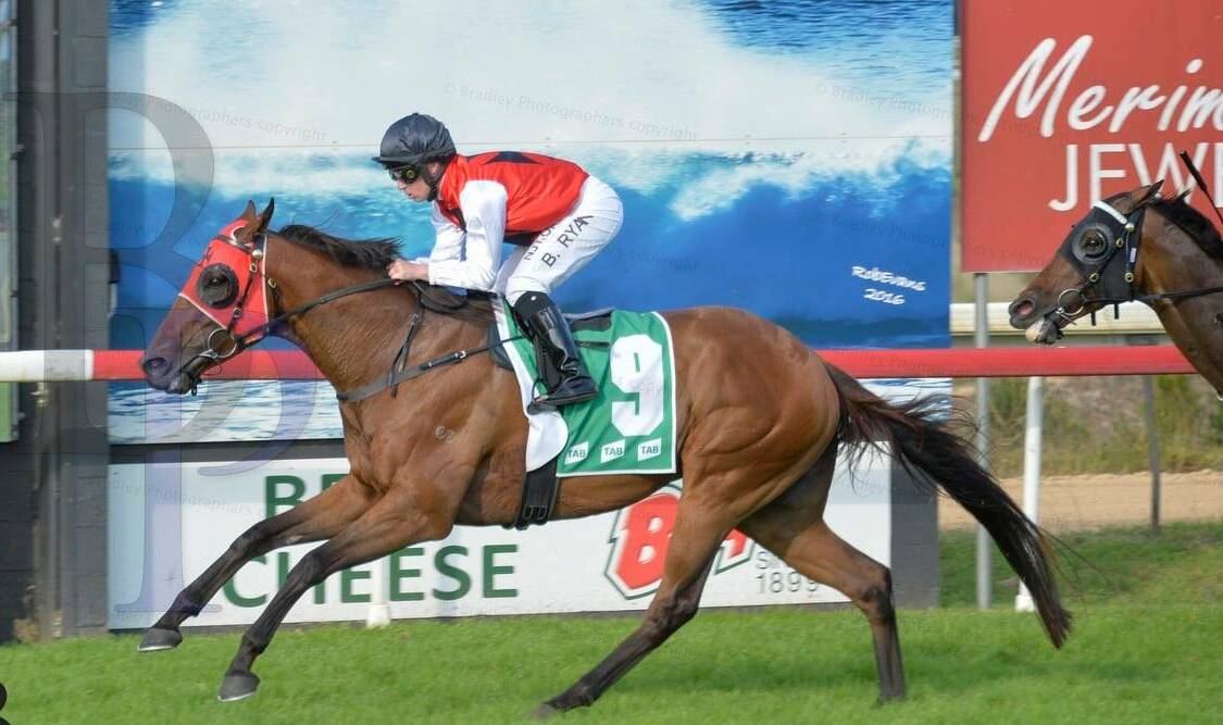 Club Legend ridden by Brock Ryan and trained by Theresa Bateup wins the Merimbula Cup at Sapphire Coast Turf Club on Monday. Photo: Bradley Photographers
