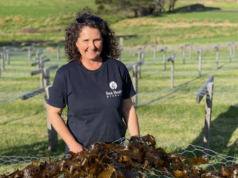 Jo Lane of Sea Health Products, who harvests kelp from local stunning beaches together with husband Warren Atkins.